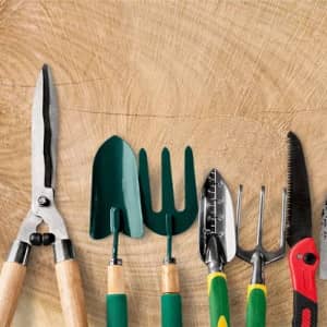 Outil et matériel de jardinage manuel